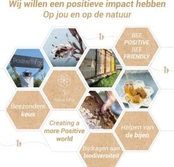 Ophangsysteem - Plafondhaak RVS - Ophanghaak TRX - Hangstoel Buiten - Hangstoel Binnen – Schommelstoel - Schommel - Bokszakken - RVS - 300kg -Tuinmeubel Verkoop 1200x1150 1