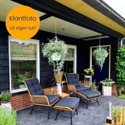 BUITEN Living Dex Wicker Loungestoel Tuin Incl. Wicker Voetenbank | Wicker + Aluminium | Bamboe Antraciet -Tuinmeubel Verkoop 1200x1200 33