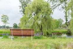 MaximaVida Tuinbank Budapest Oil 170 Cm - Uit Exclusief Mahoniehout -Tuinmeubel Verkoop 1200x800 101