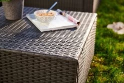 Central Park Hoekbank Loungeset Alea Grijs Staal/riet 3-delig -Tuinmeubel Verkoop 1200x800 258