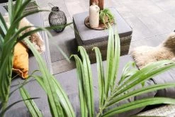 Fonteyn | Loungeset Connor | Melange -Tuinmeubel Verkoop 1200x800 332