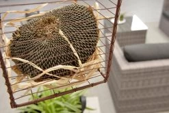 Garden Impressions Montana Loungeset - Organic Grey -Tuinmeubel Verkoop 1200x801 13